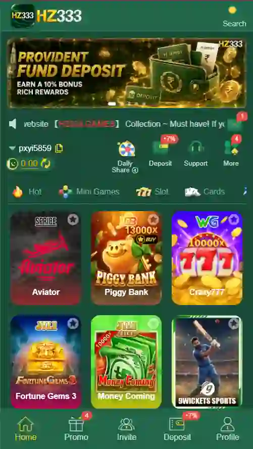 HZ333 Game