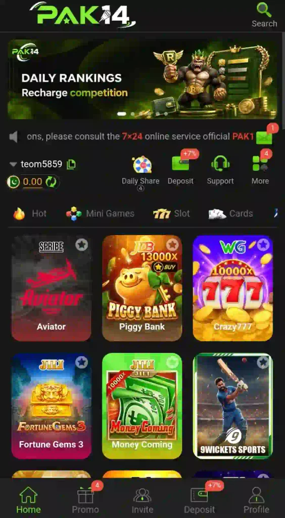 Pak14 Game